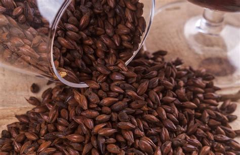 is barley extract gluten free